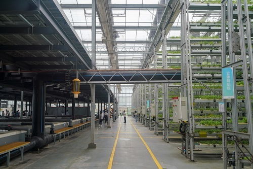 科技賦能山城新畫卷 重慶創新成果引領鄉村振興之路